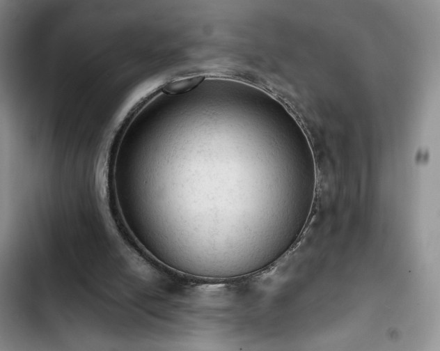 X0000103160054200808221403