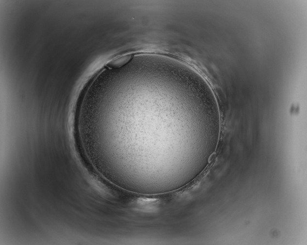 X0000103160055200808221403