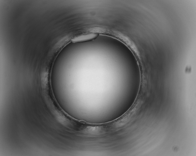 X0000103160057200808221403