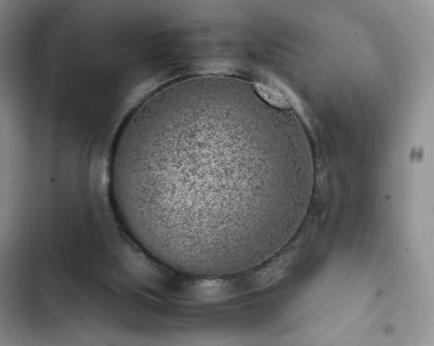 X0000103160059200808221403