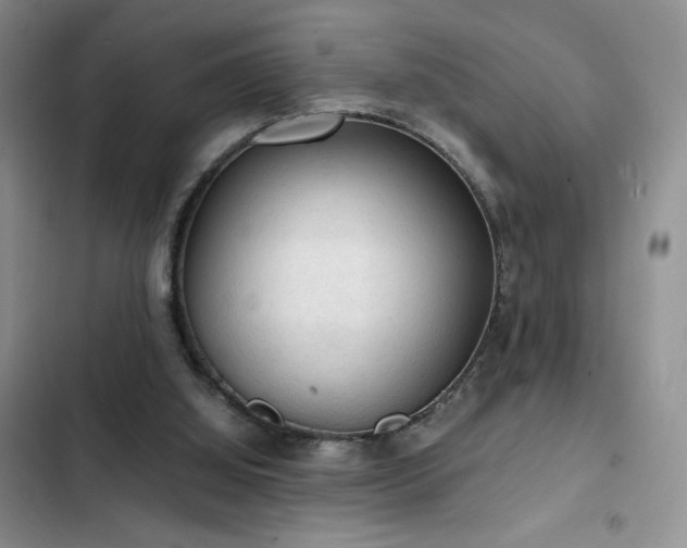 X0000103160060200808221403
