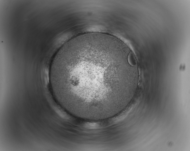 X0000103160061200808221403