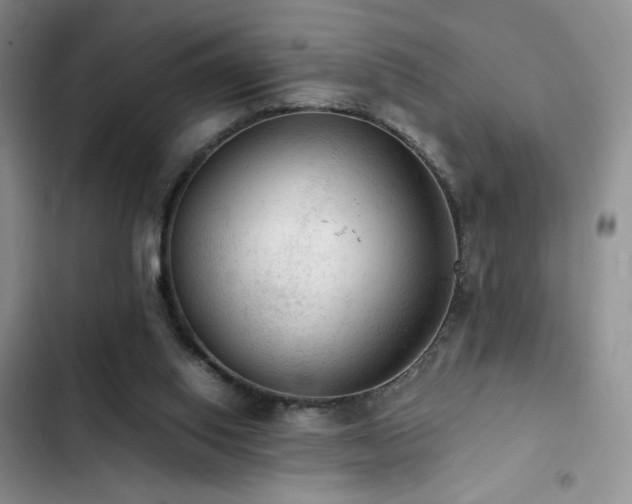 X0000103160062200808221403