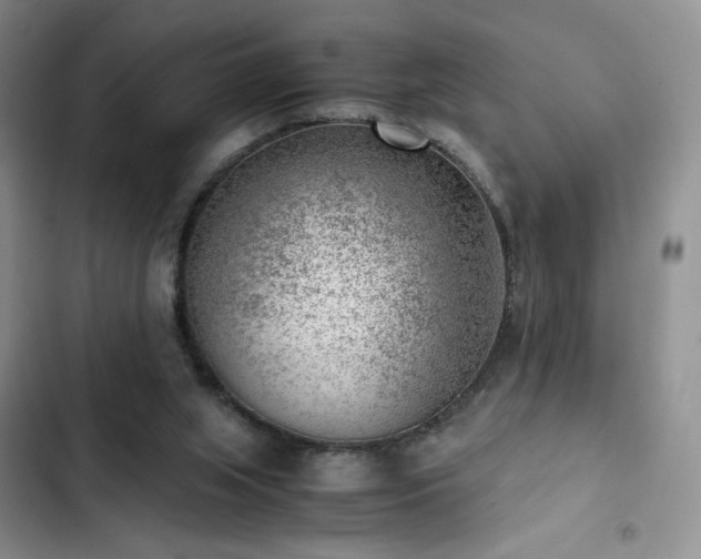X0000103160063200808221403