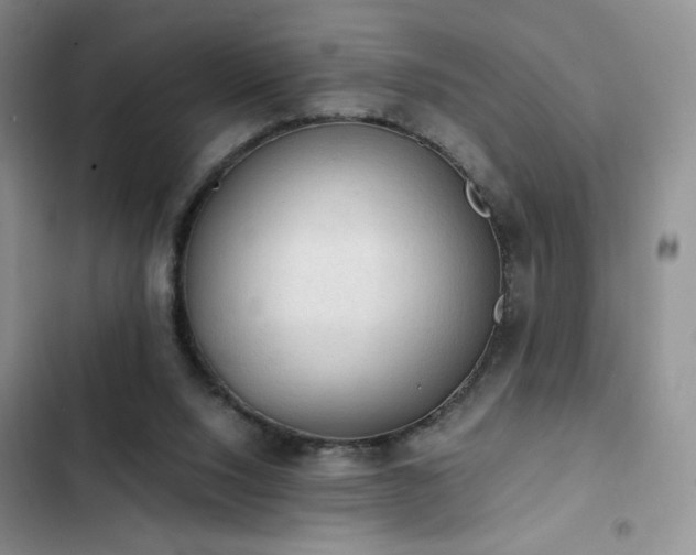 X0000103160064200808221403