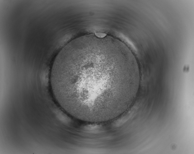 X0000103160065200808221403