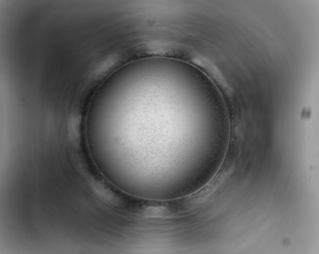 X0000103160066200808221403