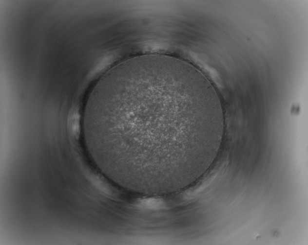X0000103160067200808221403