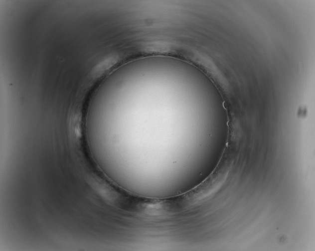 X0000103160068200808221403