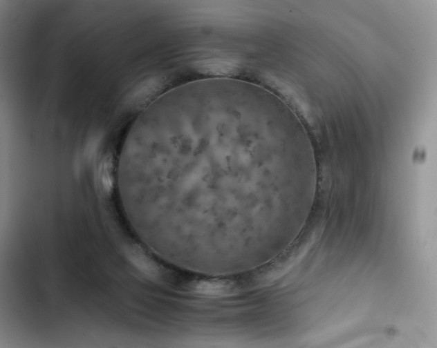 X0000103160069200808221403