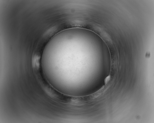 X0000103160070200808221403