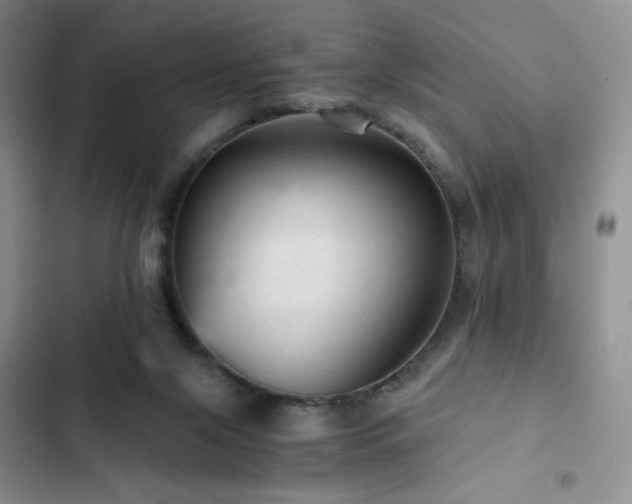 X0000103160071200808221403