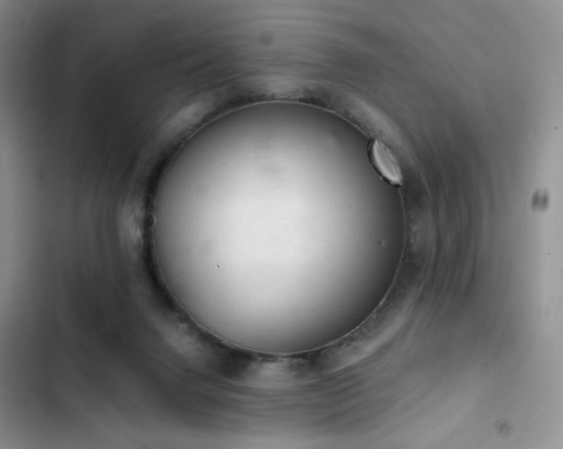 X0000103160072200808221403