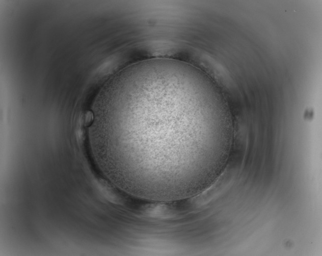 X0000103160074200808221403