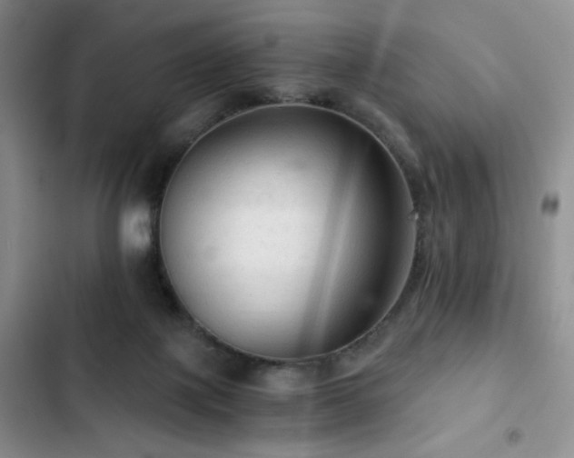 X0000103160075200808221403