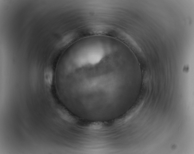 X0000103160076200808221403