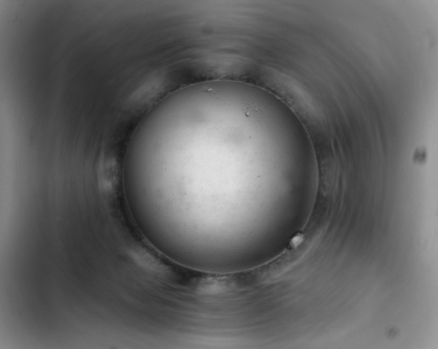 X0000103160077200808221403