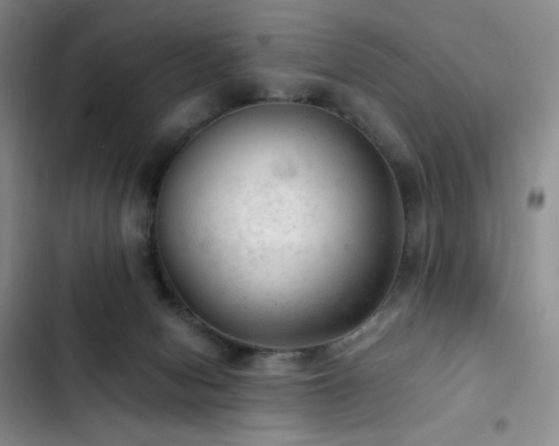 X0000103160078200808221404