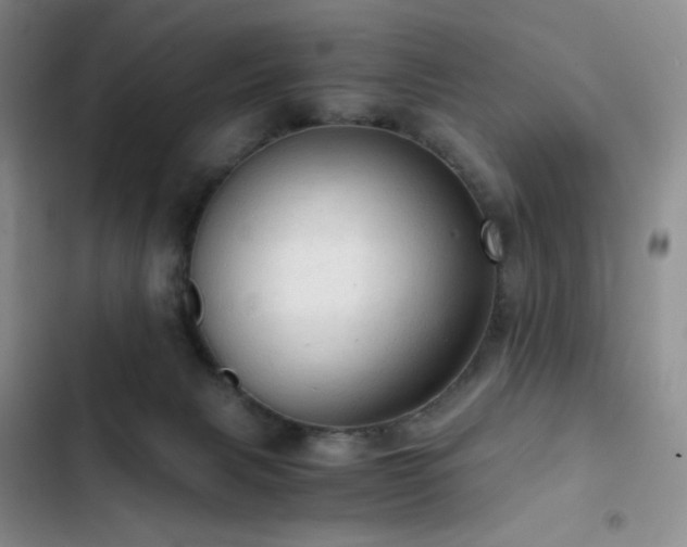 X0000103160079200808221404
