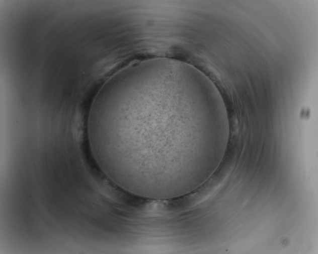 X0000103160080200808221404