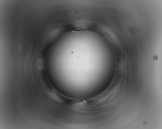 X0000103160081200808221404