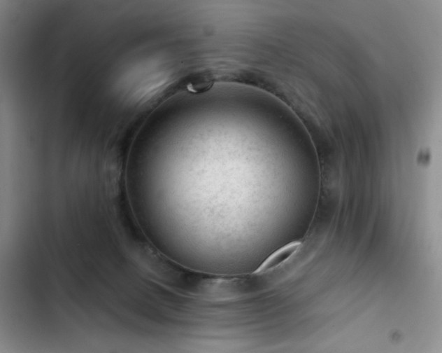X0000103160082200808221404