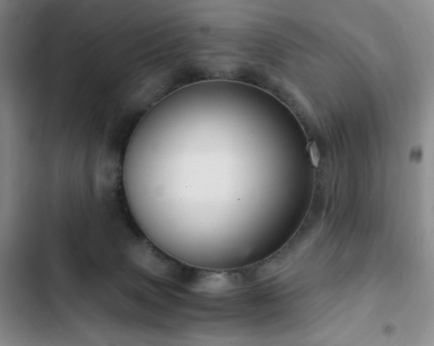 X0000103160083200808221404