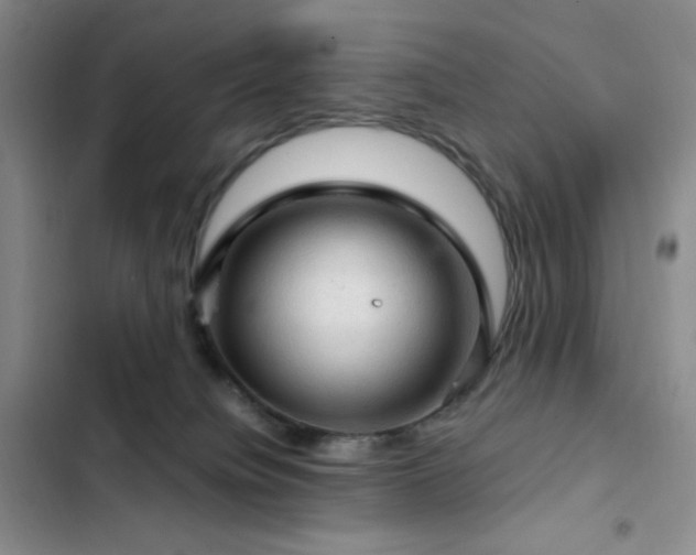 X0000103160084200808221404