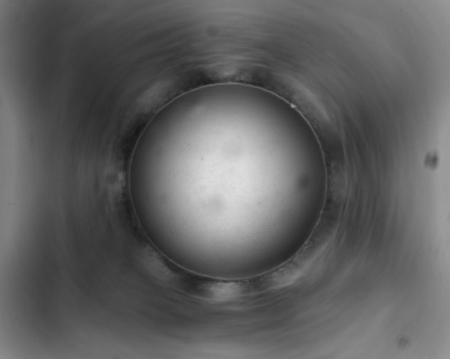X0000103160085200808221404
