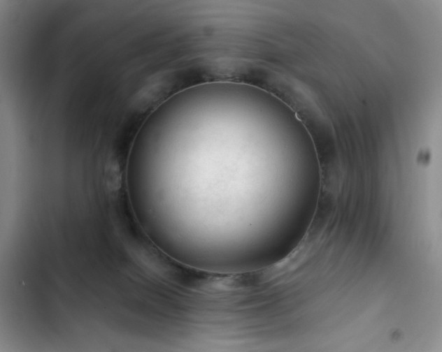 X0000103160086200808221404