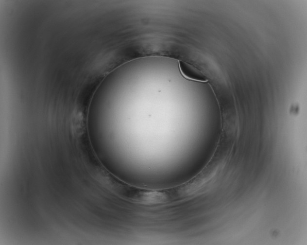 X0000103160087200808221404