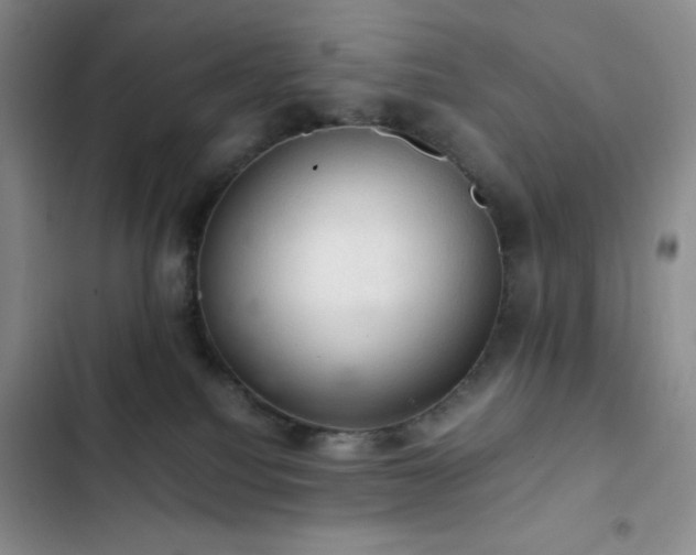 X0000103160088200808221404
