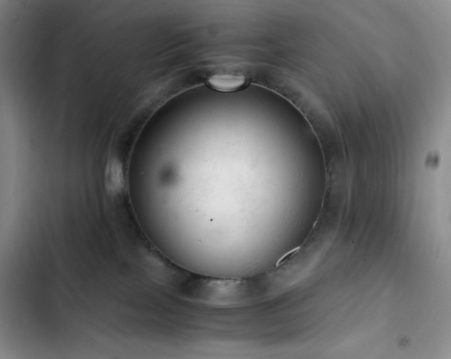 X0000103160089200808221404