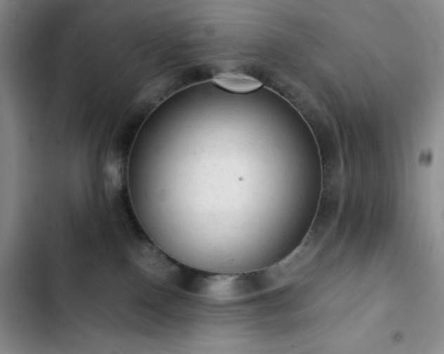 X0000103160090200808221404