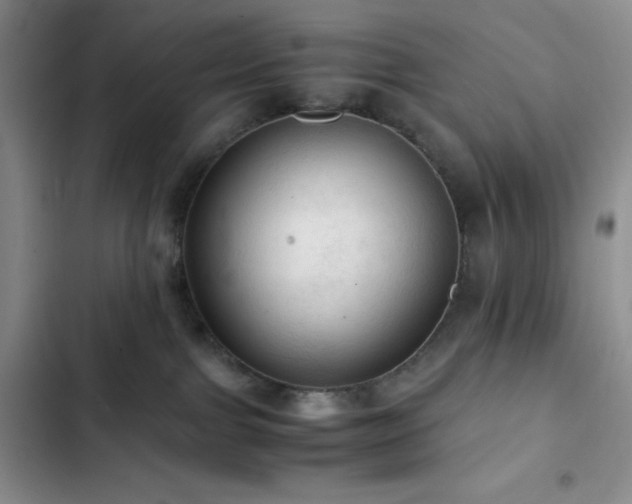 X0000103160091200808221404