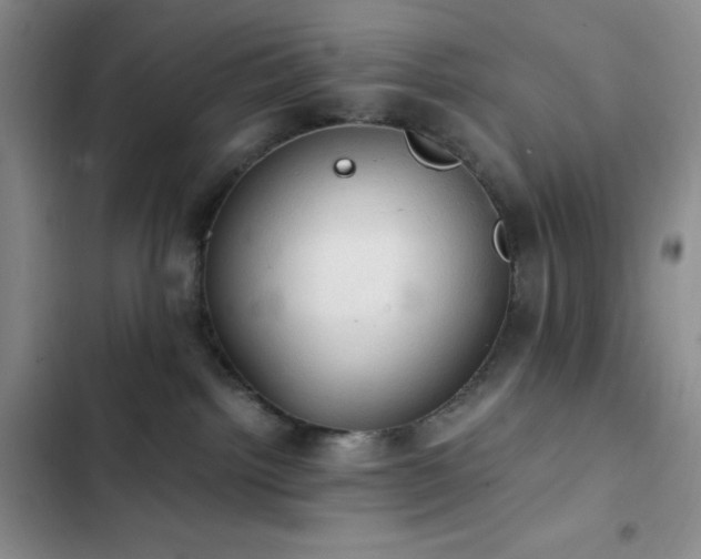 X0000103160092200808221404