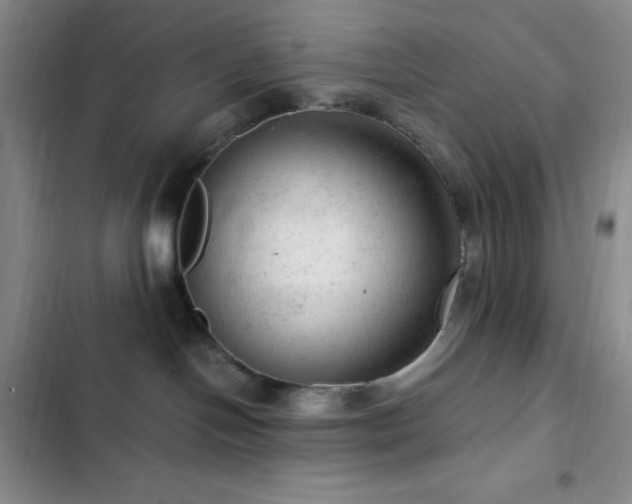 X0000103160094200808221404