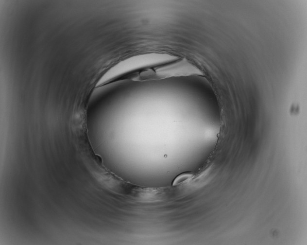X0000103160096200808221404