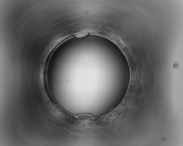 X0000103160098200808221403