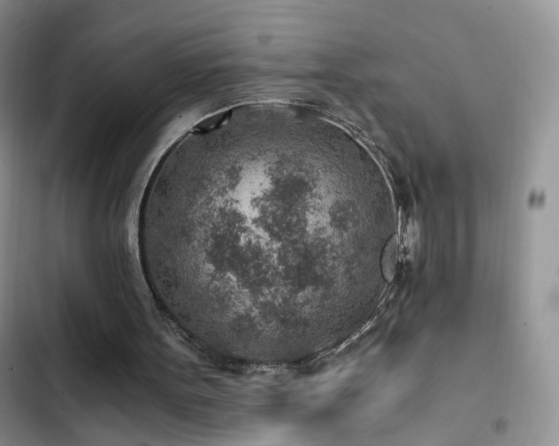 X0000103160099200808221403