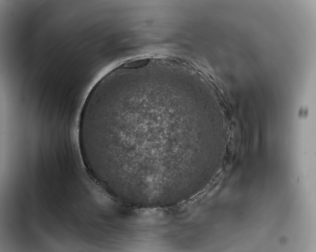 X0000103160100200808221403