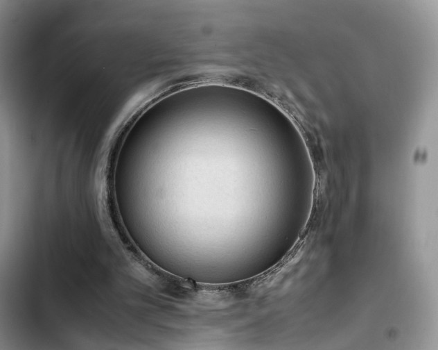 X0000103160101200808221403