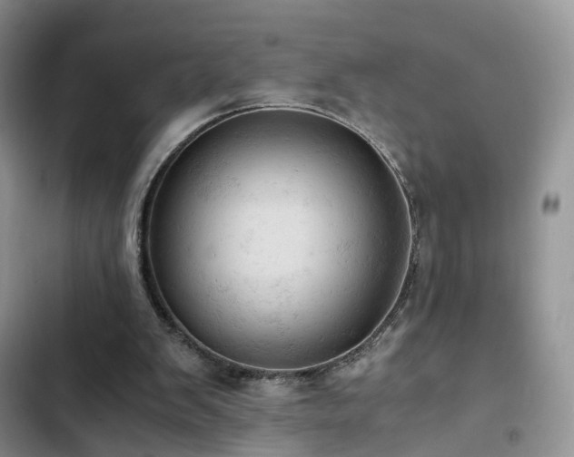 X0000103160103200808221403