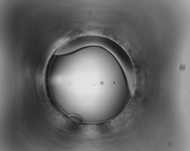 X0000103160104200808221403
