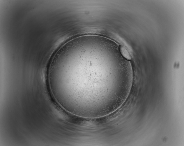 X0000103160107200808221403