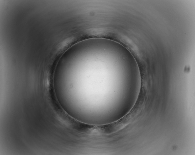 X0000103160115200808221403