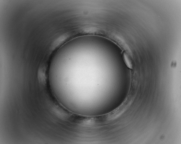 X0000103160116200808221403