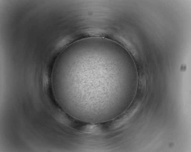 X0000103160117200808221403