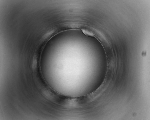 X0000103160120200808221403
