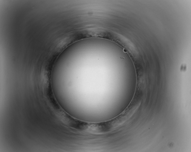 X0000103160121200808221403